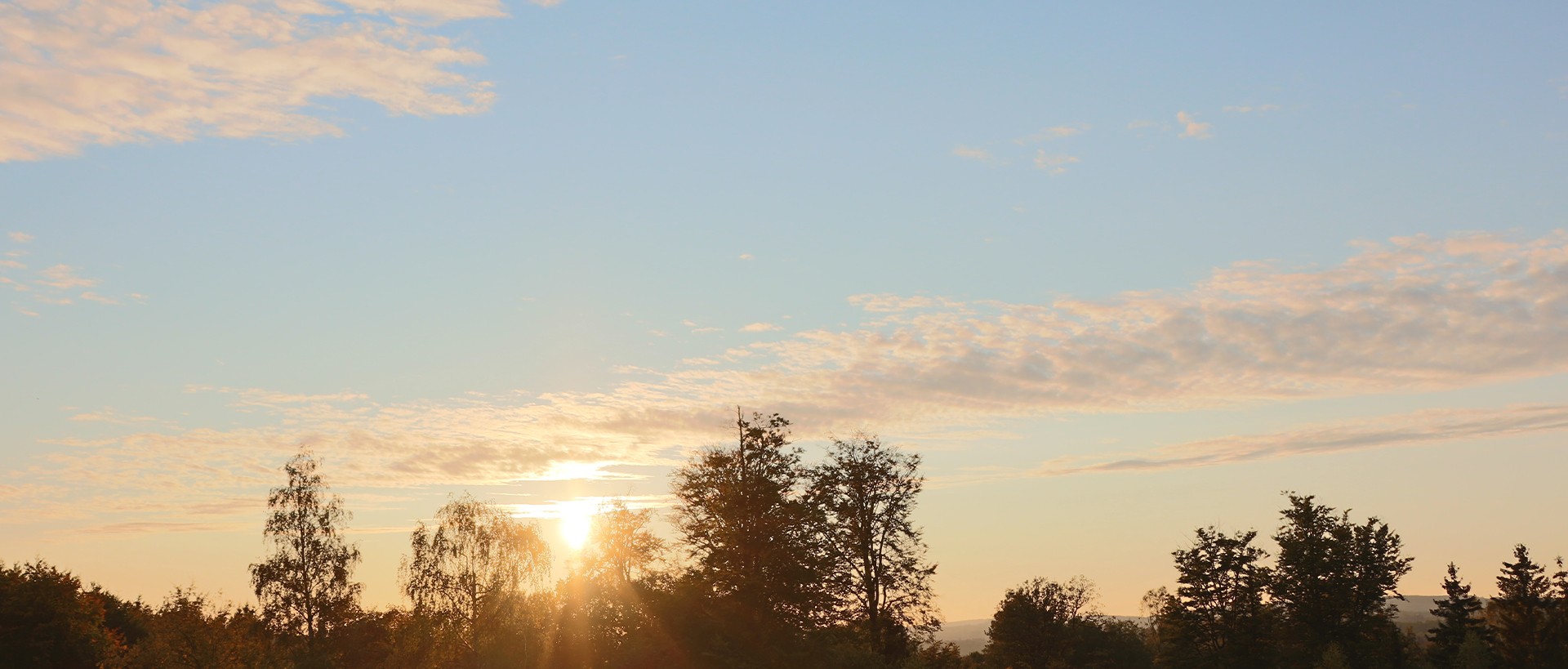 header himmel baum